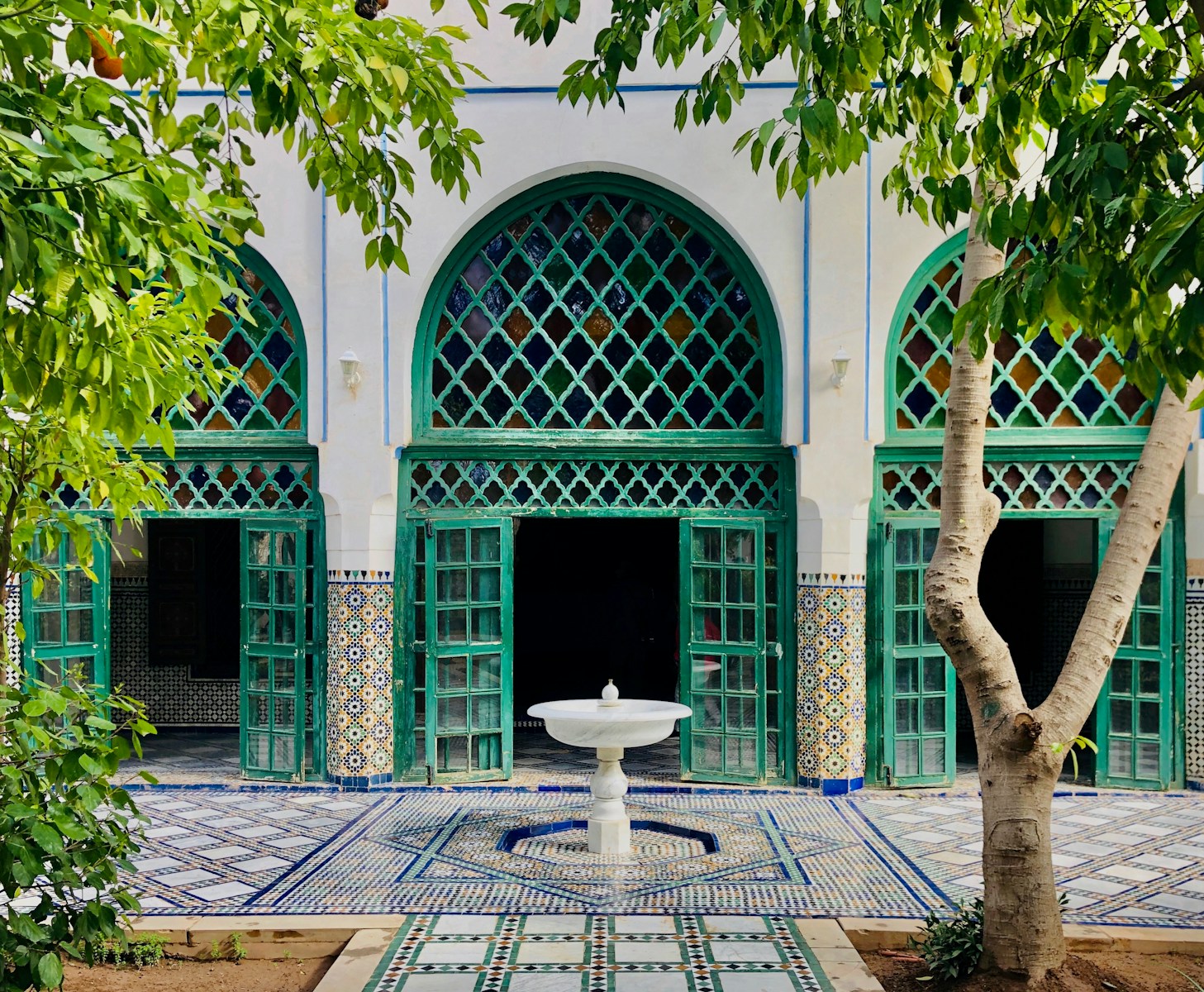 green palm tree near white and blue concrete building