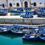 blue wooden boat lot