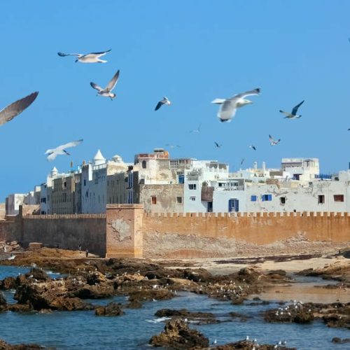 View of the Essaouira medina in Morocco. Seagulls over the old city against the blue sky.